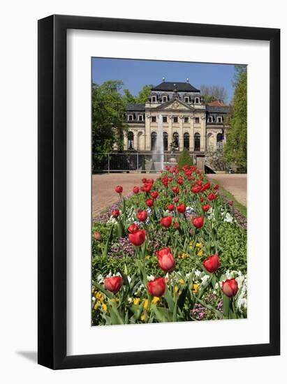 Orangery in the palace garden of Fulda, Hesse, Germany-null-Framed Art Print