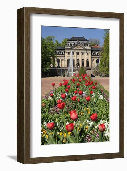 Orangery in the palace garden of Fulda, Hesse, Germany-null-Framed Art Print