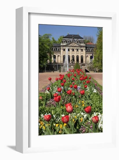 Orangery in the palace garden of Fulda, Hesse, Germany-null-Framed Art Print