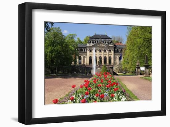 Orangery in the palace garden of Fulda, Hesse, Germany-null-Framed Art Print