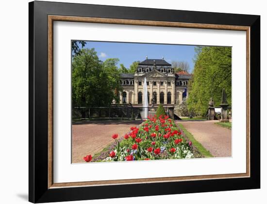 Orangery in the palace garden of Fulda, Hesse, Germany-null-Framed Art Print