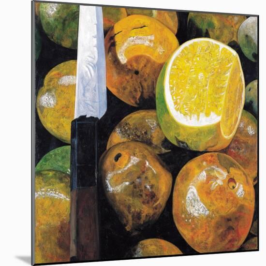 Oranges and Knife, 2003-Pedro Diego Alvarado-Mounted Giclee Print