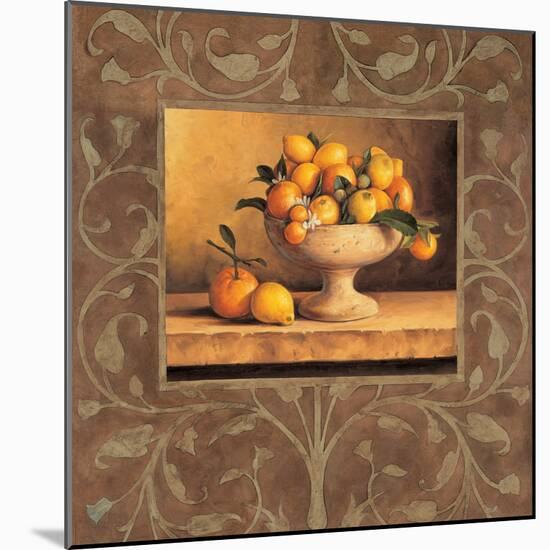 Oranges and Lemons-Andres Gonzales-Mounted Art Print