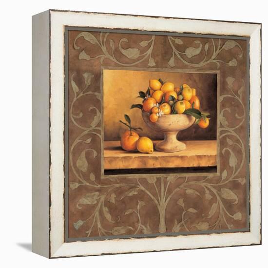 Oranges and Lemons-Andres Gonzales-Framed Stretched Canvas