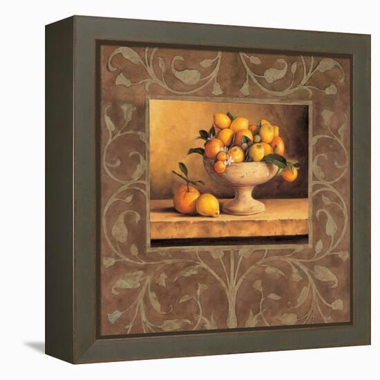 Oranges and Lemons-Andres Gonzales-Framed Stretched Canvas