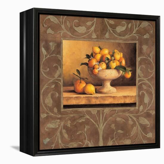 Oranges and Lemons-Andres Gonzales-Framed Stretched Canvas