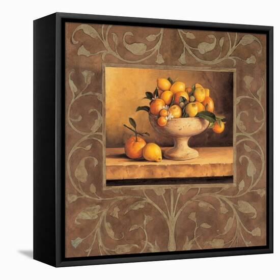 Oranges and Lemons-Andres Gonzales-Framed Stretched Canvas