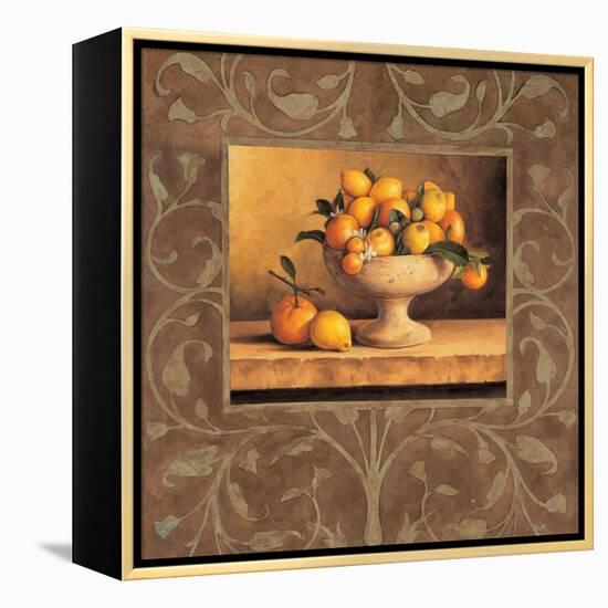 Oranges and Lemons-Andres Gonzales-Framed Stretched Canvas