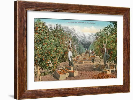 Oranges and Snowfields-null-Framed Art Print
