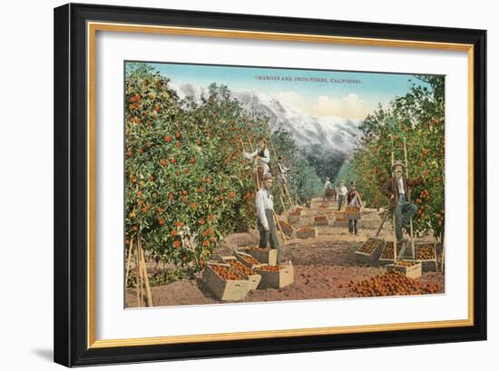 Oranges and Snowfields-null-Framed Art Print