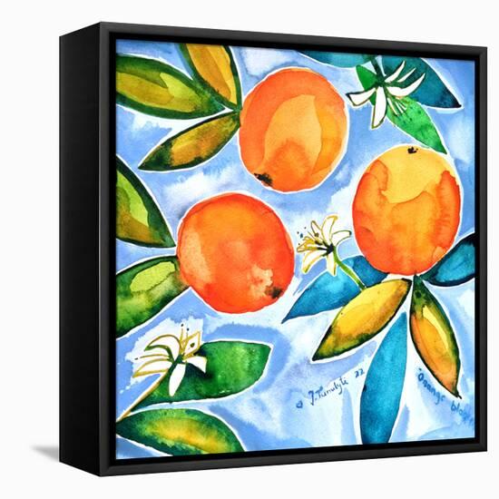 Oranges Blooming-Julija Belickienė-Framed Premier Image Canvas