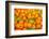 Oranges displayed in market in Shepherd's Bush, London, U.K.-Richard Wright-Framed Photographic Print