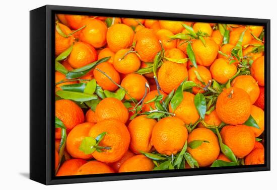 Oranges displayed in market in Shepherd's Bush, London, U.K.-Richard Wright-Framed Premier Image Canvas