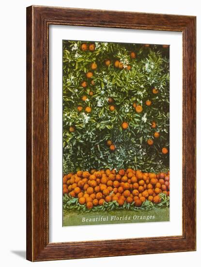 Oranges, Florida-null-Framed Art Print