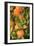 Oranges II-Karyn Millet-Framed Photographic Print