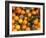 Oranges, Nasch Market, Kettenbrucke, Austria-Marilyn Parver-Framed Photographic Print