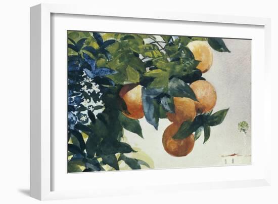 Oranges on a Branch, 1885-Winslow Homer-Framed Premium Giclee Print