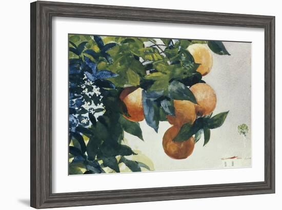 Oranges on a Branch, 1885-Winslow Homer-Framed Giclee Print