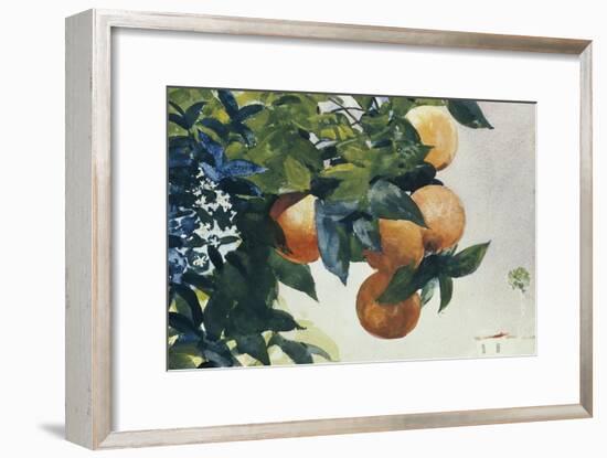 Oranges on a Branch, 1885-Winslow Homer-Framed Giclee Print