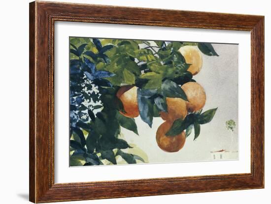 Oranges on a Branch, 1885-Winslow Homer-Framed Giclee Print