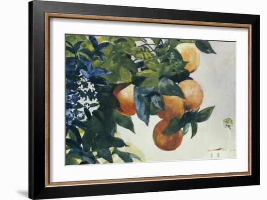 Oranges on a Branch, 1885-Winslow Homer-Framed Giclee Print