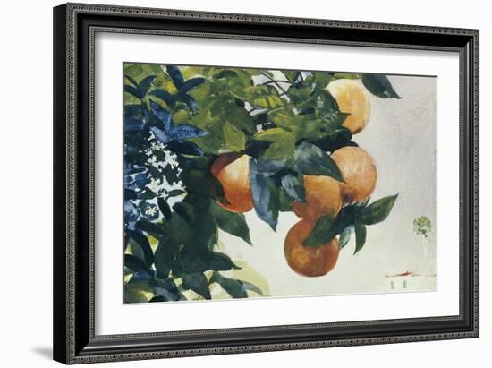 Oranges on a Branch, 1885-Winslow Homer-Framed Giclee Print