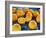 Oranges, Wood, Board, Blue, Harvest, Fruit, Citrus Fruits-Axel Killian-Framed Photographic Print