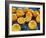 Oranges, Wood, Board, Blue, Harvest, Fruit, Citrus Fruits-Axel Killian-Framed Photographic Print