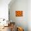 Oranges-null-Photographic Print displayed on a wall