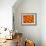 Oranges-null-Framed Photographic Print displayed on a wall