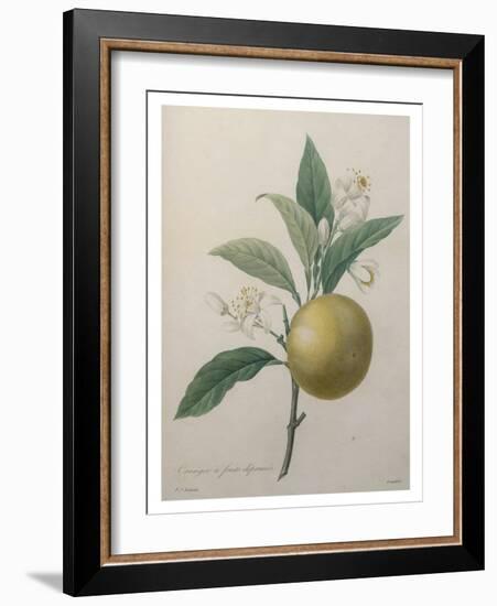 Oranges-Pierre-Joseph Redoute-Framed Art Print