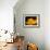 Orangesque-Ursula Abresch-Framed Photographic Print displayed on a wall