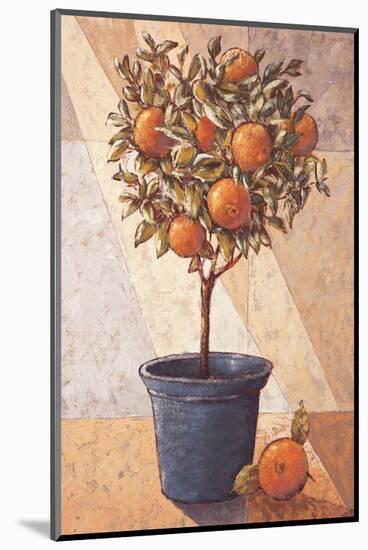 Orangetree-Karsten Kirchner-Mounted Art Print