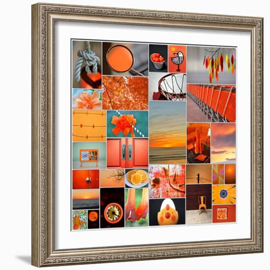 Orangina Collage-Gail Peck-Framed Photo