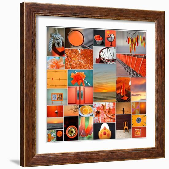 Orangina Collage-Gail Peck-Framed Photo