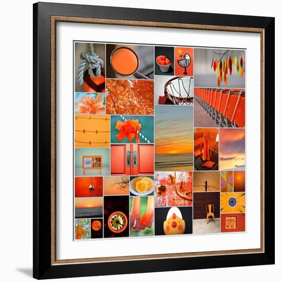 Orangina Collage-Gail Peck-Framed Photo