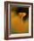 Orangina-Ursula Abresch-Framed Photographic Print