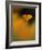 Orangina-Ursula Abresch-Framed Photographic Print