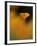 Orangina-Ursula Abresch-Framed Photographic Print