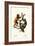 Orangutan, 1824-Karl Joseph Brodtmann-Framed Giclee Print