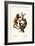 Orangutan, 1824-Karl Joseph Brodtmann-Framed Giclee Print