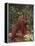 Orangutan and Baby in the Forest-DLILLC-Framed Premier Image Canvas