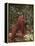 Orangutan and Baby in the Forest-DLILLC-Framed Premier Image Canvas
