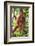 Orangutan and Baby Swinging in the Trees-DLILLC-Framed Photographic Print