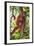 Orangutan and Baby Swinging in the Trees-DLILLC-Framed Photographic Print