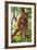 Orangutan and Baby Swinging in the Trees-DLILLC-Framed Photographic Print