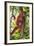 Orangutan and Baby Swinging in the Trees-DLILLC-Framed Photographic Print