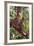 Orangutan and Baby Swinging in the Trees-DLILLC-Framed Photographic Print