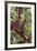 Orangutan and Baby Swinging in the Trees-DLILLC-Framed Photographic Print