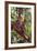 Orangutan and Baby Swinging in the Trees-DLILLC-Framed Photographic Print